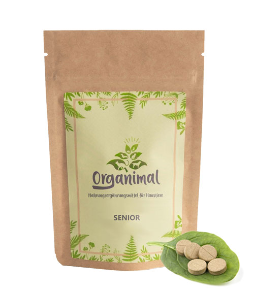 Organimal Senior - Hunde