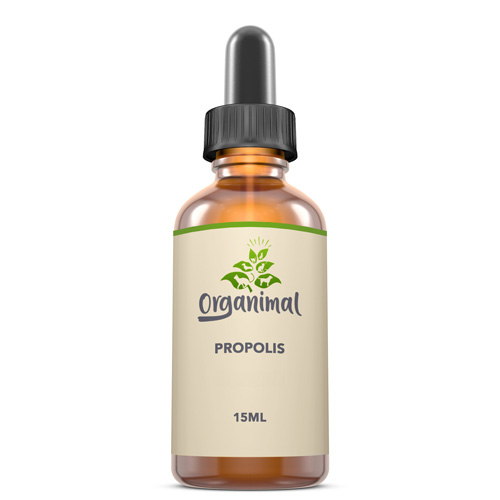 Propolis - Hunde