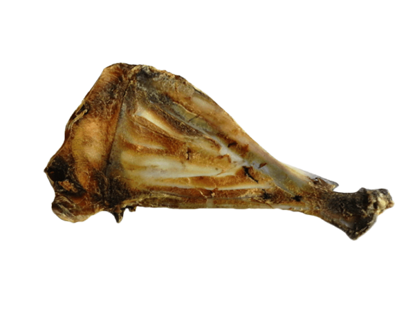 Organimal Schulterblatt Hirsch
