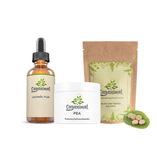 Blase & Nierenpaket – Katzen